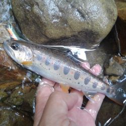 大増水の渓で苦戦